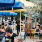 Zomerzoenen 2025 I Barzo(e)ndagen op zondagnamiddag