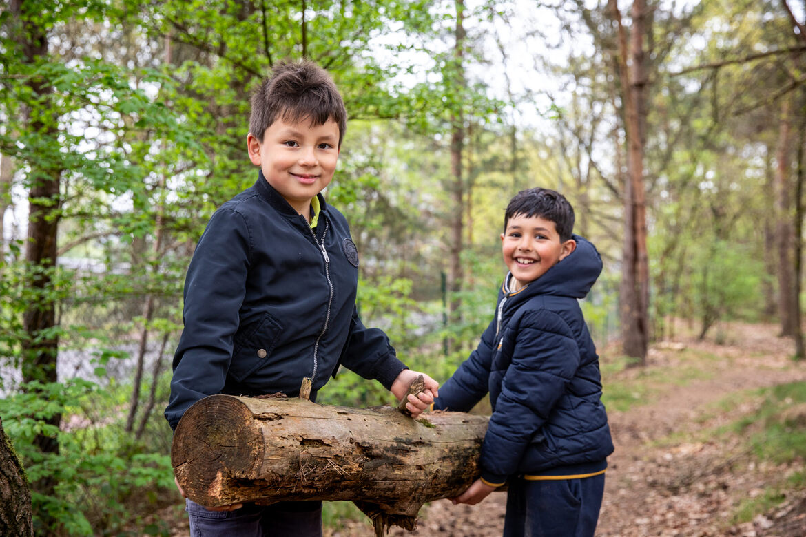 Wollebos Lente 2025 (1)